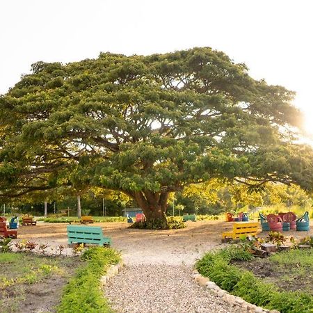 Вилла Hacienda La Huerta, Пуэрто-Плата Экстерьер фото