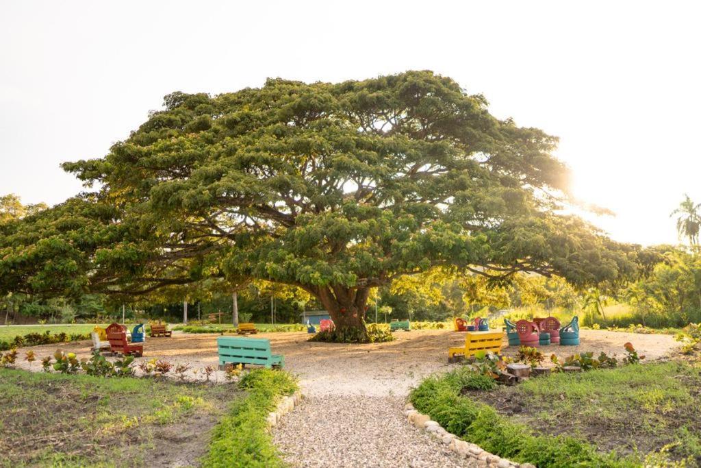 Вилла Hacienda La Huerta, Пуэрто-Плата Экстерьер фото